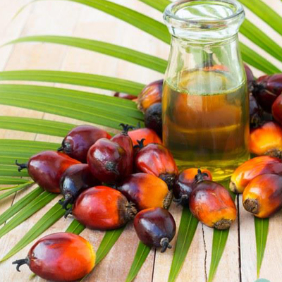 棕榈油2505012403
